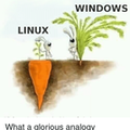 linux-windows-what-a-glorious-analogy-2679778