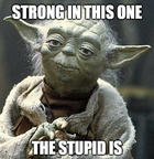 yoda
